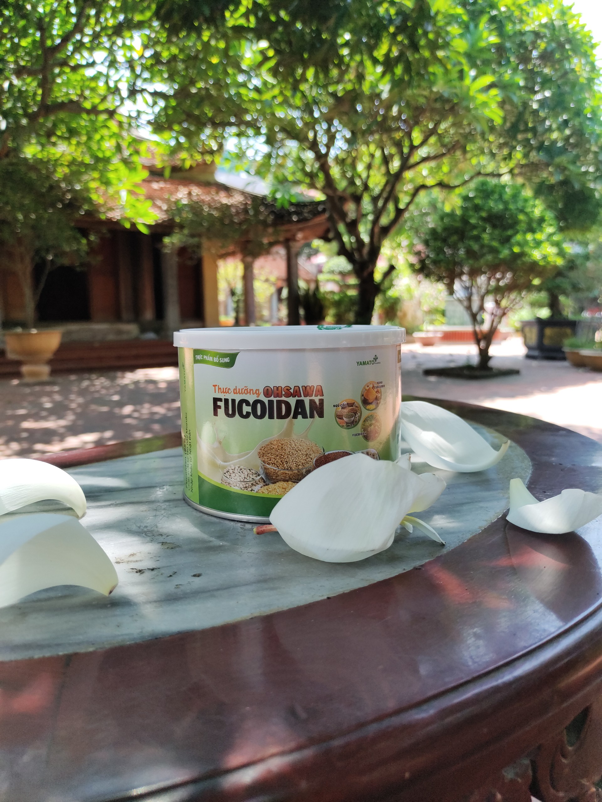 Thực Dưỡng Ohsawa Fucoidan: Giải Pháp Điều Trị U Bướu Hiệu Quả