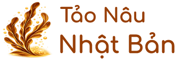 Tảo Nâu Nhật Bản Chính Hãng